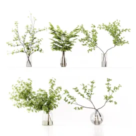 Collection Indoor Plants